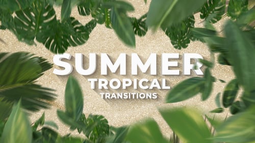 Viajes de verano | Transiciones tropicales de hojas de palma