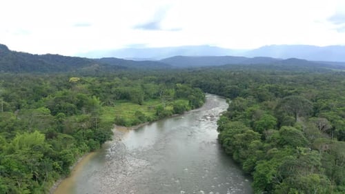 Vue aérienne sur une grande rivière tropicale avec une zone ouverte sur un côté
