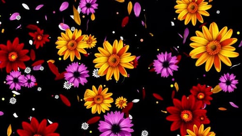Color Flowers 4K