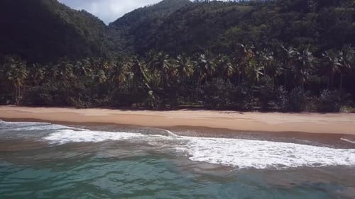 Drone Shoot Virgin Beach Maked With A Drone In The Caribbean With Palms Tree And Mountains 4k 24fps