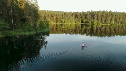 Woman Paddleboarding on a Calm Lake in Nature