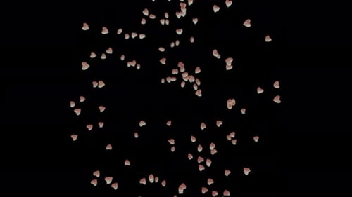 Animated Pink Heart Petals Falling Overlay