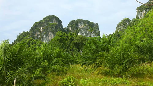 Landschaft Thailands