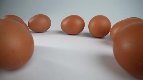 Raw Eggs 10