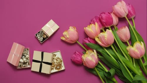 Spring tulips flower Birthday or Valentine's Day celebrations. Stop Motion Animation