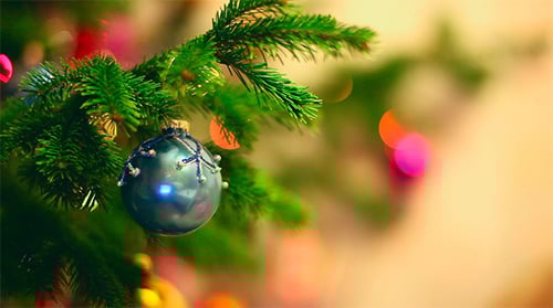 Holiday Christmas Ornament on Green Pine Tree