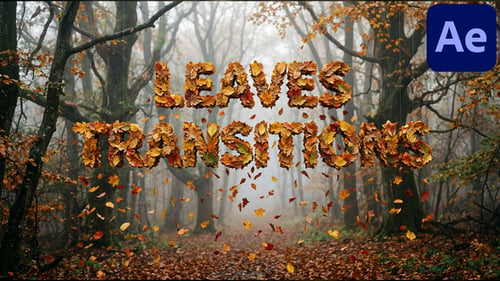 Deja las transiciones para After Effects