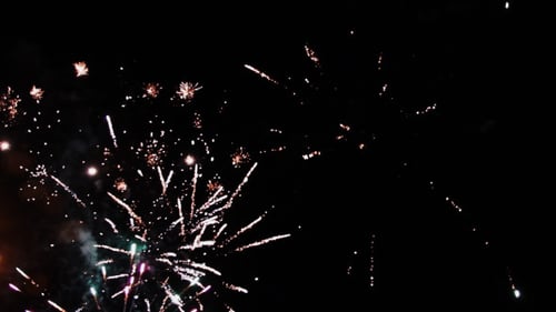 Colorful Fireworks Exploding in the Night Sky