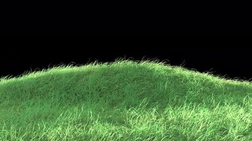 Gras auf Bergschleife 4K