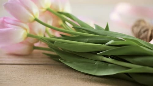 Hand Arranging Light Pink Tulips on Wooden Table