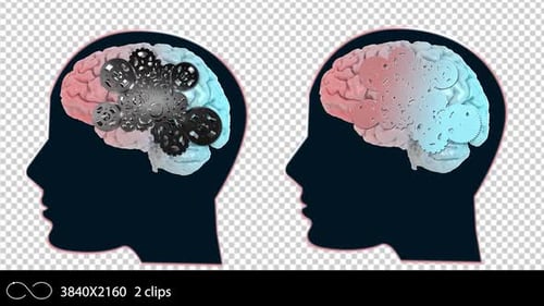 Animated Human Brain with Gears: Thought Process and Mental Activity