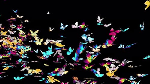 Colorful Butterflies Swarm Flying Alpha Overlay
