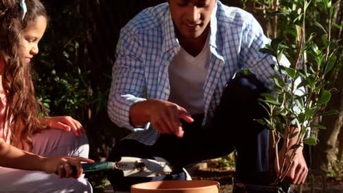 Father and daughter planting a plant in the garden