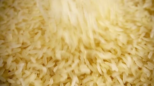 Rice Grains Poured, Close Up Food Footage