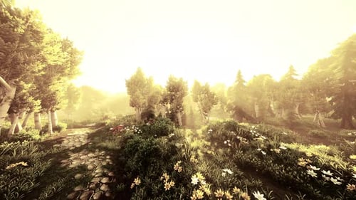 Cartoon Flowering Green Forest on Sunset
