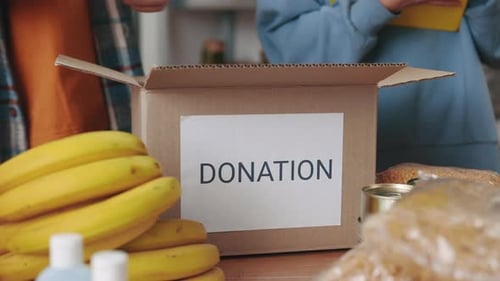 Group of Volunteers Working Together at Charitable Fund