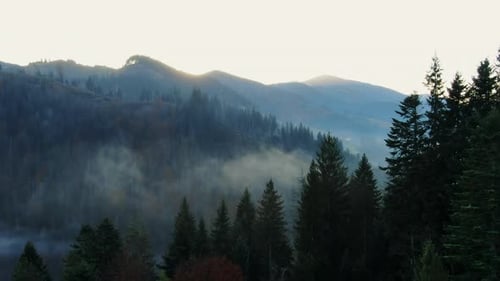 Flying Over Treetops Entering a Misty Mountain Valley Between Rugged Peaks in the Early Morning in