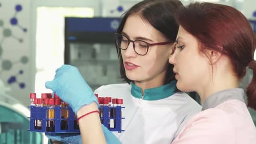Scientists Analyzing Samples in a Medical Laboratory