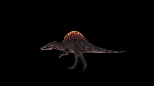 Dinosaur Spinosaurus Run