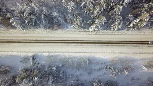 Winter Forest Road
