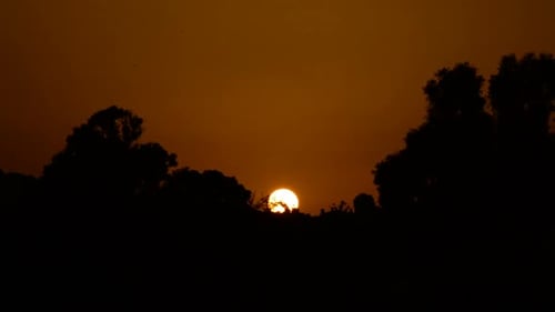 Sun Hiding between Trees at Sunset