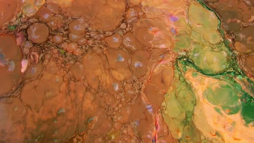 Abstract Organic Fluid Pattern in Earthy Colors