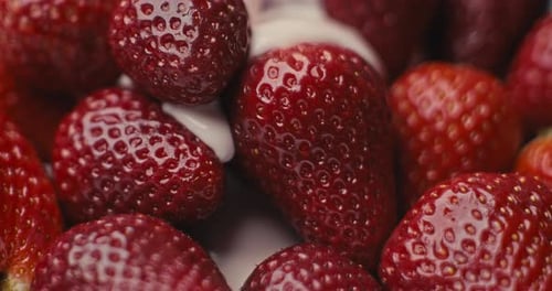 Yogurt Poured Over Fresh Red Strawberries, Close Up