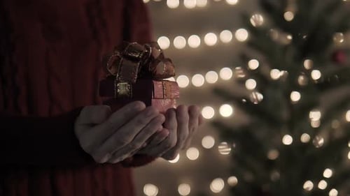 Christmas Gift Held Near Decorated Tree