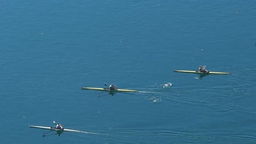 Rowing Race Between Three Participants, Professional Water Sports, Slow Motion