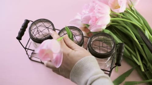 Arranging Pale Pink Tulips in Glass Jars