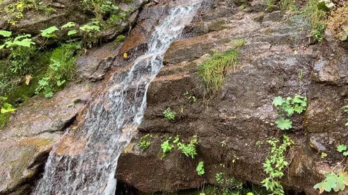 River Creek Waterfall Flowing View