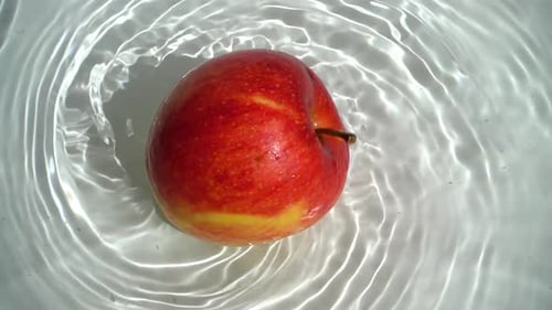 Tomber une pomme 2