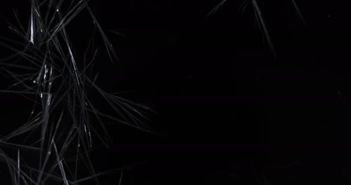 Abstract Animation of Spreading Ice Crystals