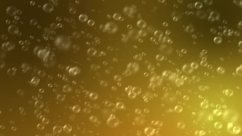 Beer Bubbles Loop