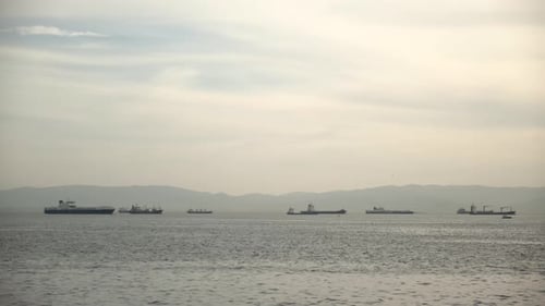 cargo ships waiting on the sea horizon