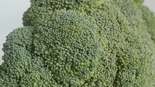 Close Up of Vibrant Green Broccoli