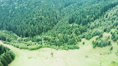 Drohnenflug über Berg mit grünem Wald