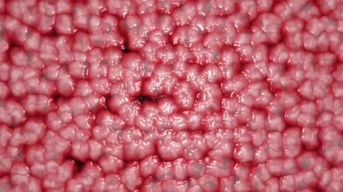 Fluid Red Organic Cells Pulsating Background Loop