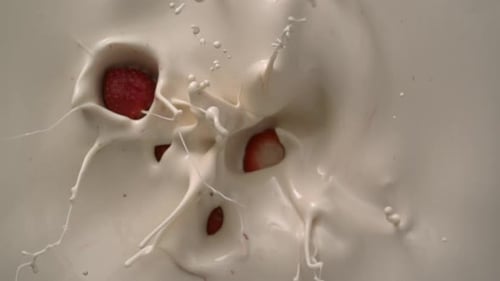 Splashing Milk Cream Food