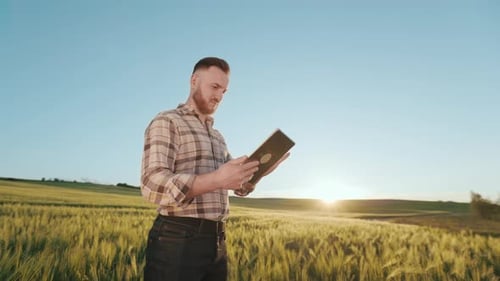 A Young Farmer is Standing in the Middle of a Wheat Field and Working on a Tablet