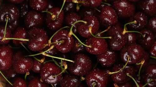 Fresh, Ripe, Juicy Cherries Background, Close Up Berry, Rotation Loopable. Food Background