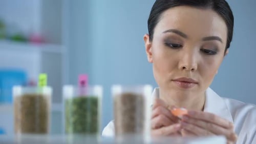 Chercheuse asiatique marquant le tube à essai de blé, contrôle de la qualité en laboratoire, agriculture
