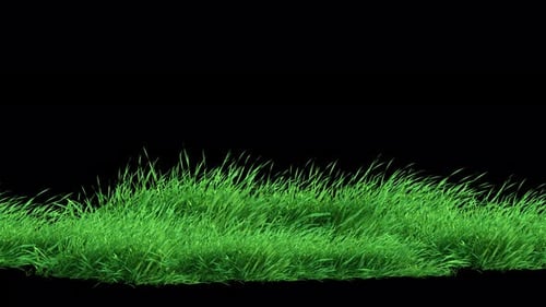 Grasschleife für langsamen Wind 4K