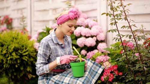 Happy Woman Gardener Planting Hydrangea Flower in the Garden