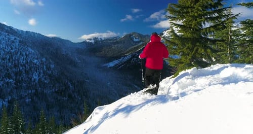 Person Snowshoe Hiking Mountain Forest Journey Traveling Alone