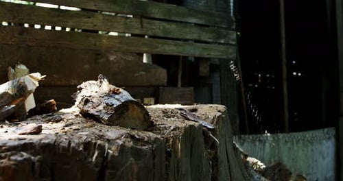 Woman chopping wood with axe 4k