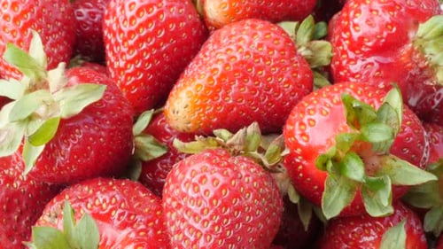 Kippen auf Fruchthaufen von Fragaria Ananassa frische und saftige Stücke 4K 2160p 30fps UltraHD Video -
