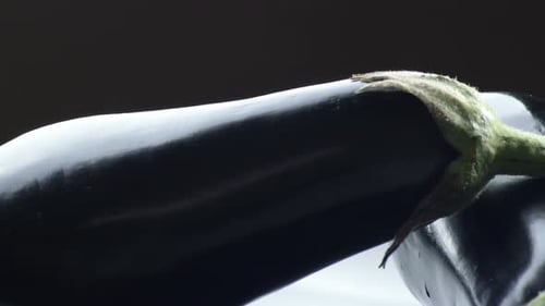 Natürliches Aubergine Gyrating