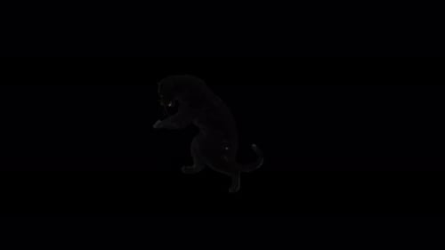 Realistic Black Panther 3D Animation