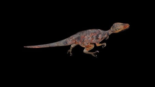 Red Deinonychus Run Vue de dessus